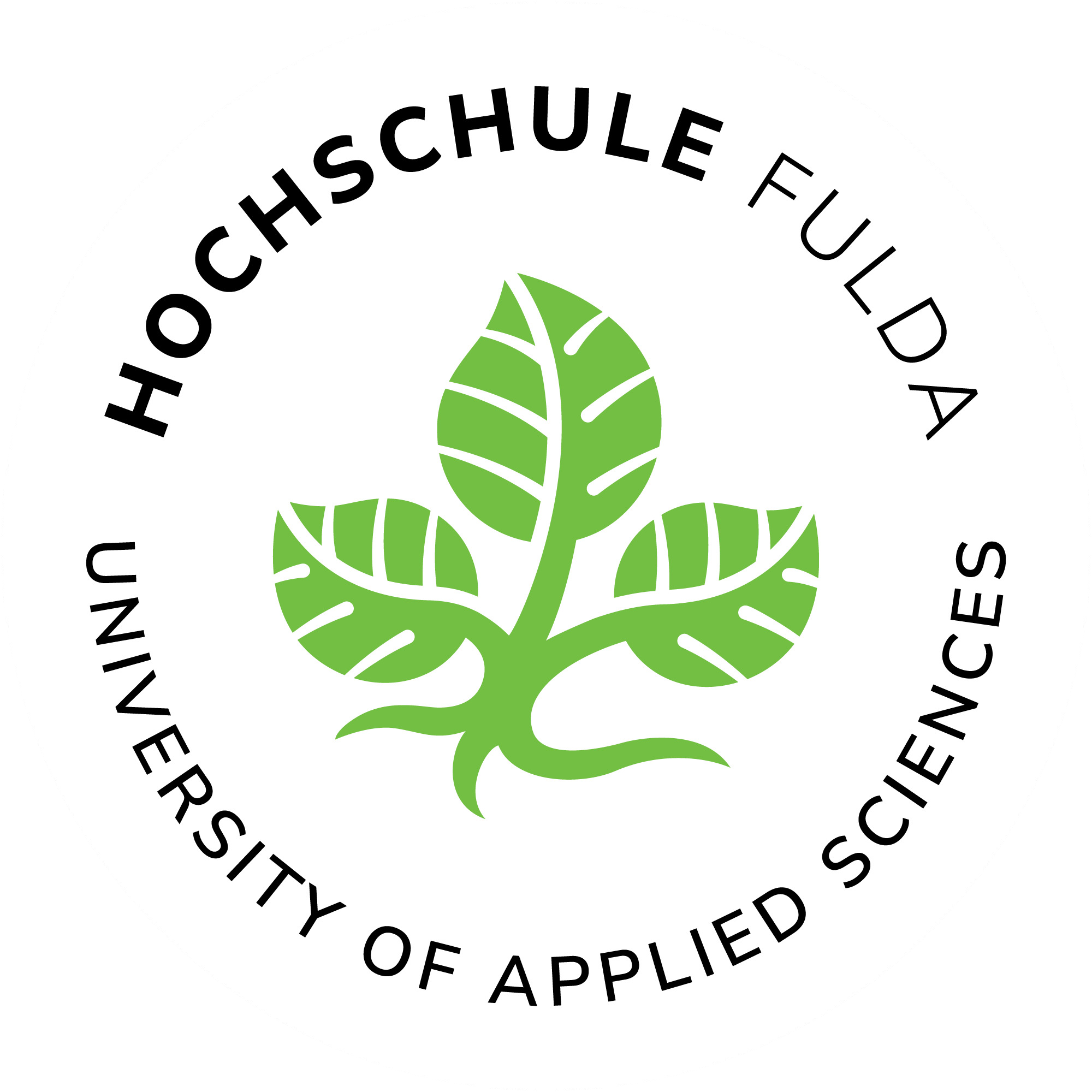 Logo Fachhochschule Fulda